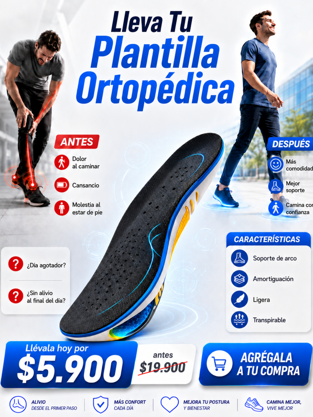 PLANTILLA
